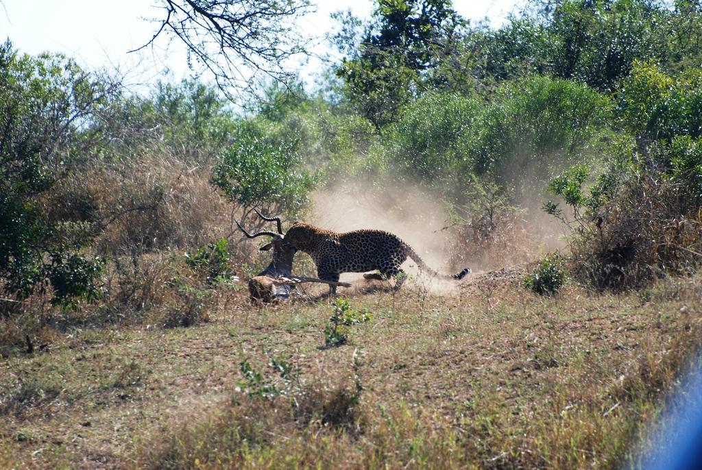 Grand Kruger And Guest house Marloth Park