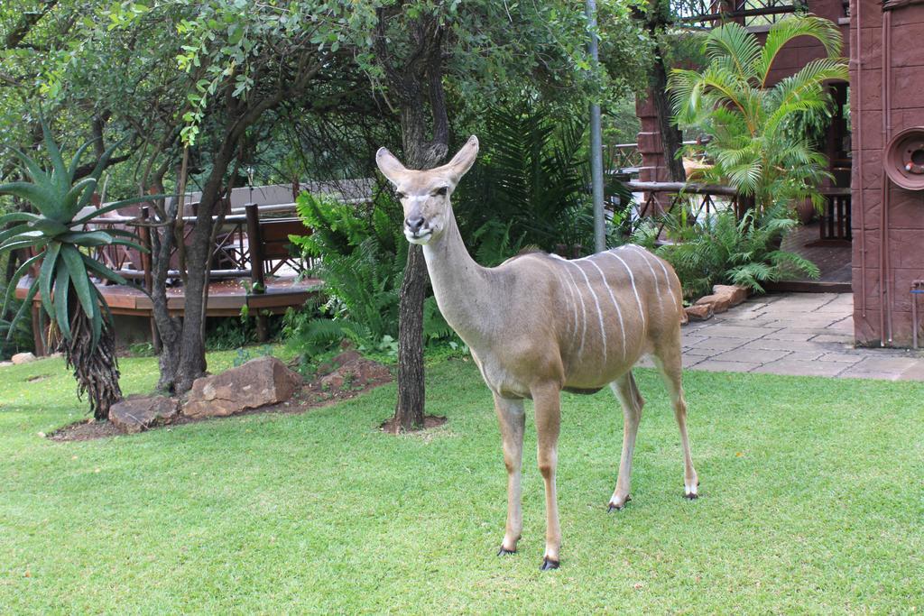 Grand Kruger And 4* Marloth Park